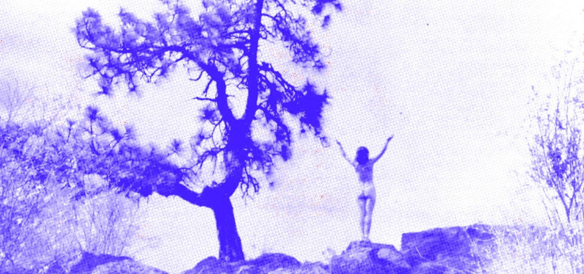 Weekly Wrap: April 7-13, 2024